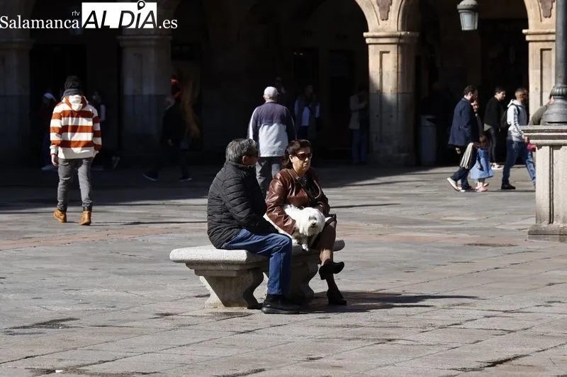 Foto 13 - El buen tiempo en Salamanca llena de ambiente el centro de la ciudad