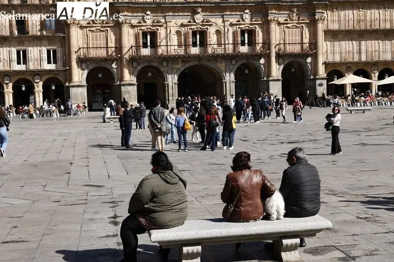Foto 11 - El buen tiempo en Salamanca llena de ambiente el centro de la ciudad
