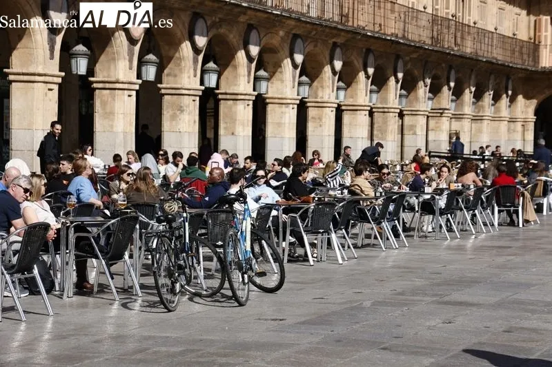 Foto 8 - El buen tiempo en Salamanca llena de ambiente el centro de la ciudad