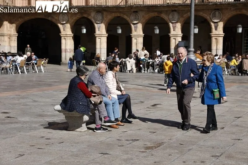 Foto 6 - El buen tiempo en Salamanca llena de ambiente el centro de la ciudad