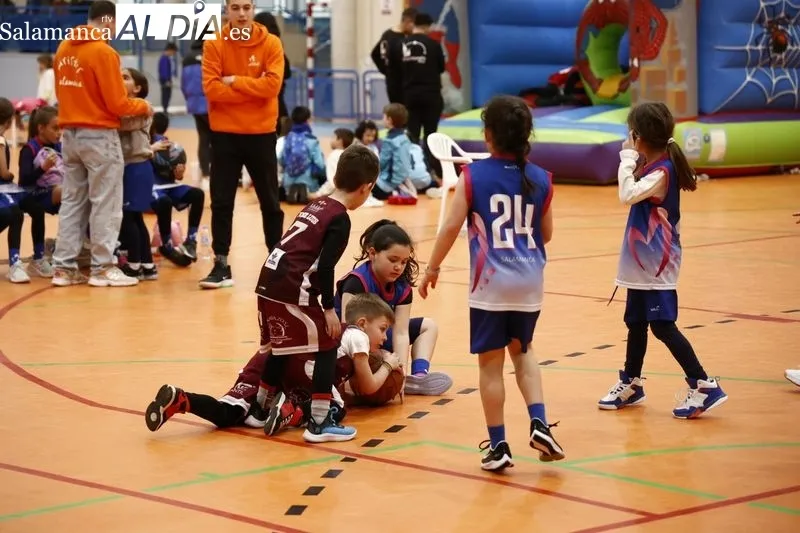 Galería de imágenes del PequeBasket / Fotos: David Sañudo