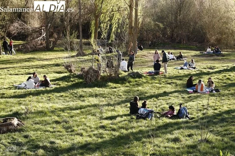 Foto 8 - El buen tiempo llena de ambiente el centro de Salamanca