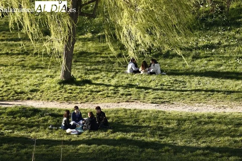 Foto 7 - El buen tiempo llena de ambiente el centro de Salamanca