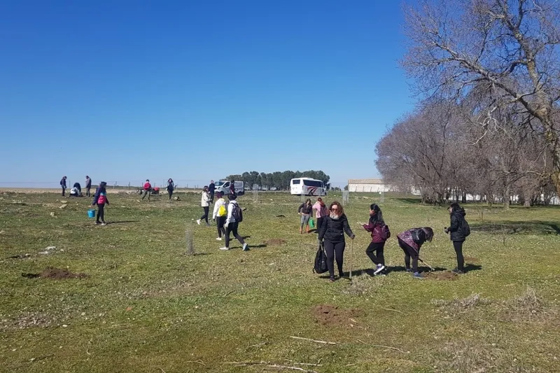 Rágama organizaba este sábado una plantación de arboles