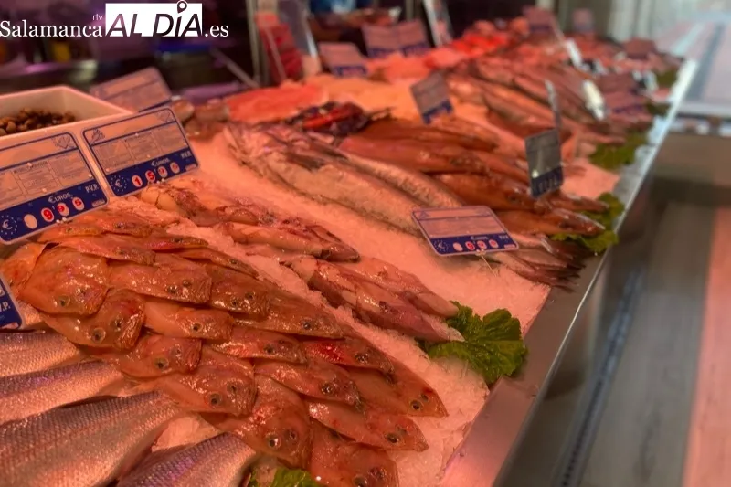 Coruña Atlántica abre sus puertas en la Plaza Nueva de Peñaranda