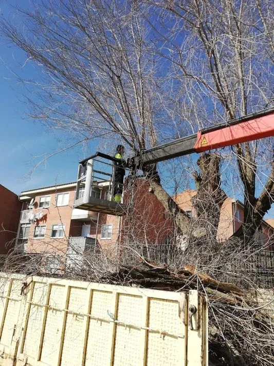 Foto 2 - Parte de infraestructuras y jardiner&iacute;a del mes de febrero