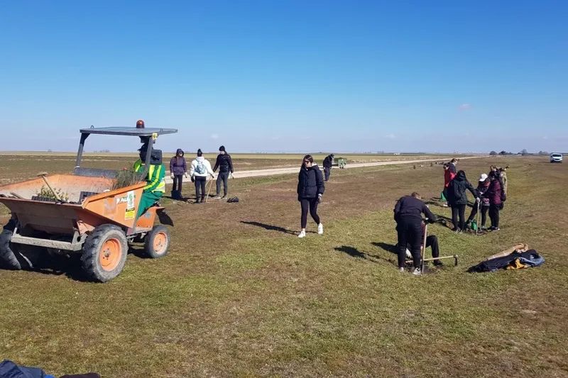Rágama organizaba este sábado una plantación de arboles
