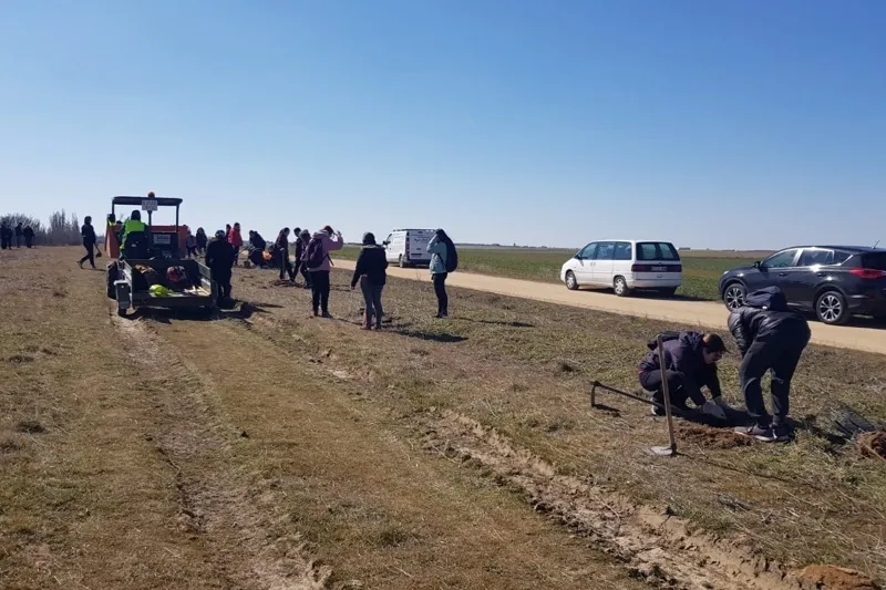 Rágama organizaba este sábado una plantación de arboles