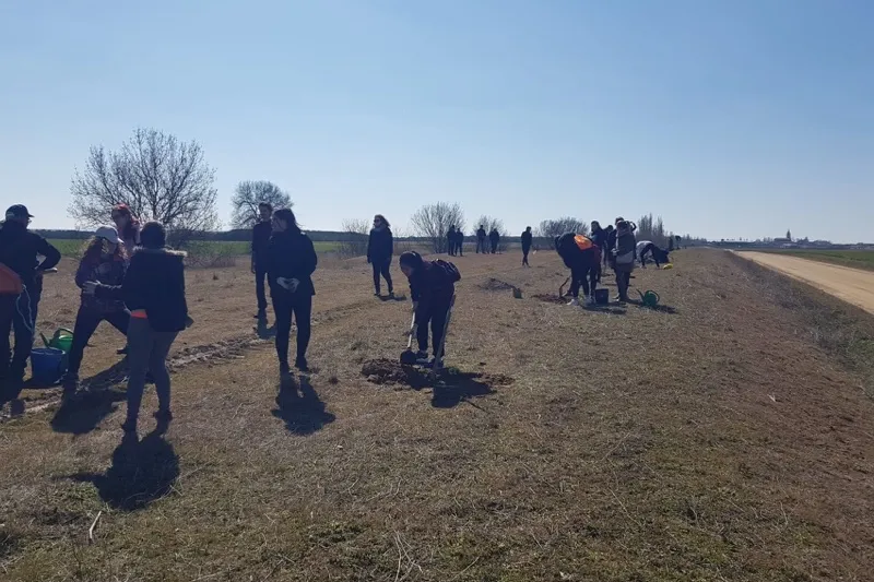 Rágama organizaba este sábado una plantación de arboles