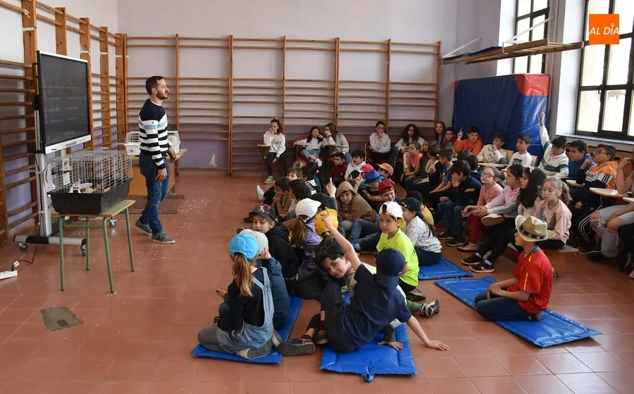 Foto 8 - Los alumnos de San Francisco cierran el trimestre llevando a sus mascotas al cole