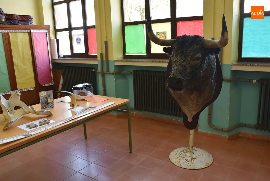 Foto 9 - Los alumnos de San Francisco cierran el trimestre llevando a sus mascotas al cole