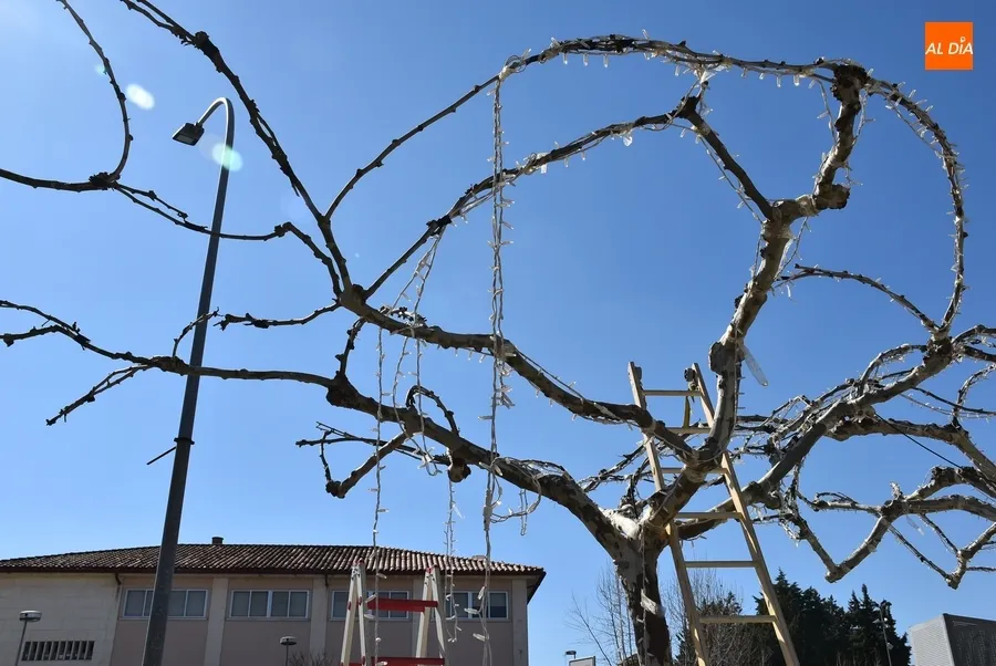 Foto 3 - Ciudad Rodrigo termina de decir adi&oacute;s &iexcl;a la Navidad!