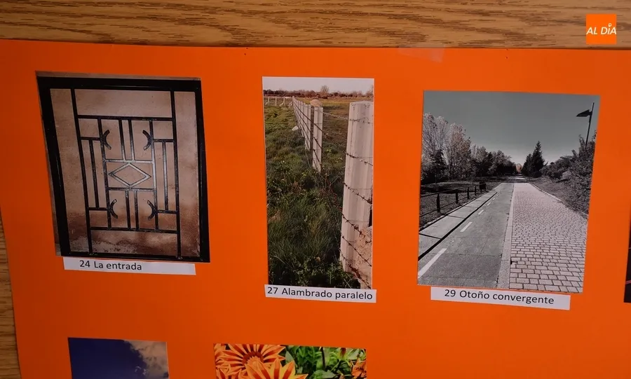 Foto 4 - Entregados en el &lsquo;Pi Day&rsquo; los premios del FrayConcurso de Fotograf&iacute;a Matem&aacute;tica