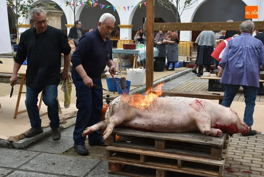 Foto 10 - Fiesta y tradici&oacute;n se dan la mano en una edici&oacute;n de la Feria de Botijeros con mucho ambiente
