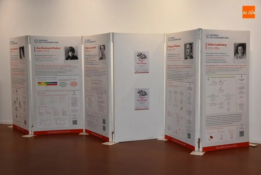 Foto 3 - Una exposici&oacute;n pone en primer plano a las pioneras de la microbiolog&iacute;a
