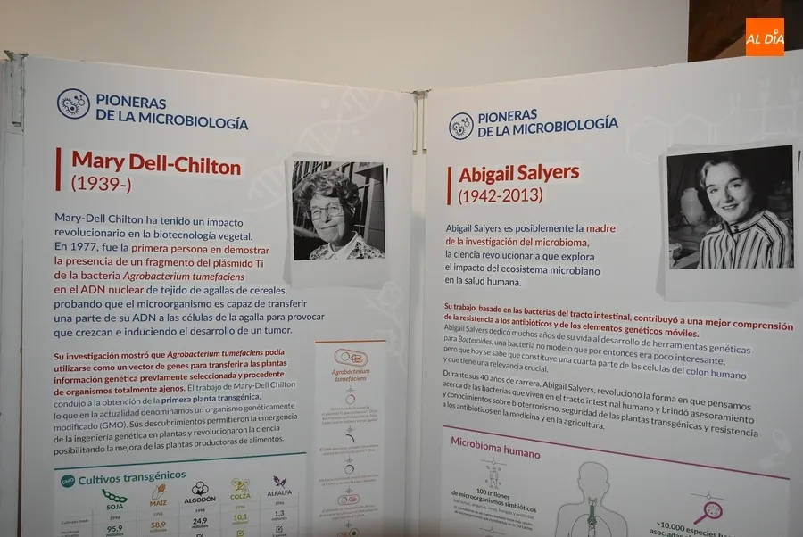 Foto 4 - Una exposici&oacute;n pone en primer plano a las pioneras de la microbiolog&iacute;a