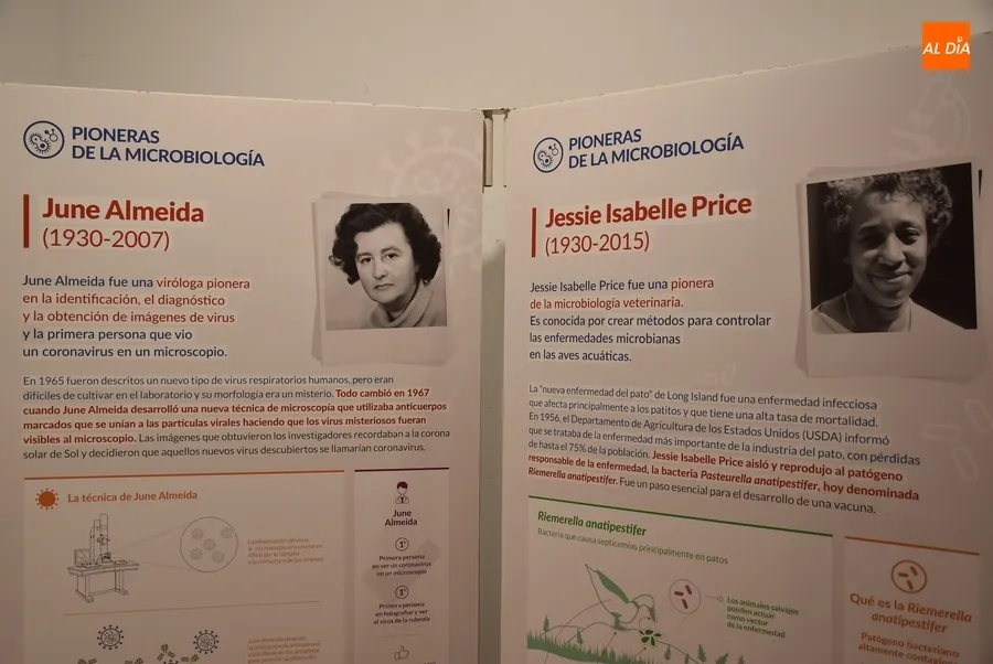 Foto 5 - Una exposici&oacute;n pone en primer plano a las pioneras de la microbiolog&iacute;a