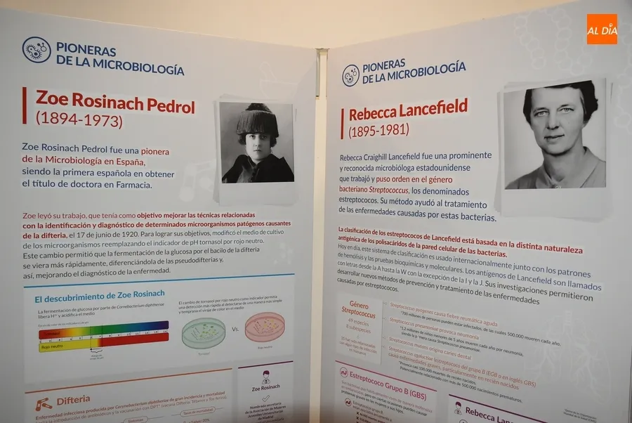 Foto 6 - Una exposici&oacute;n pone en primer plano a las pioneras de la microbiolog&iacute;a