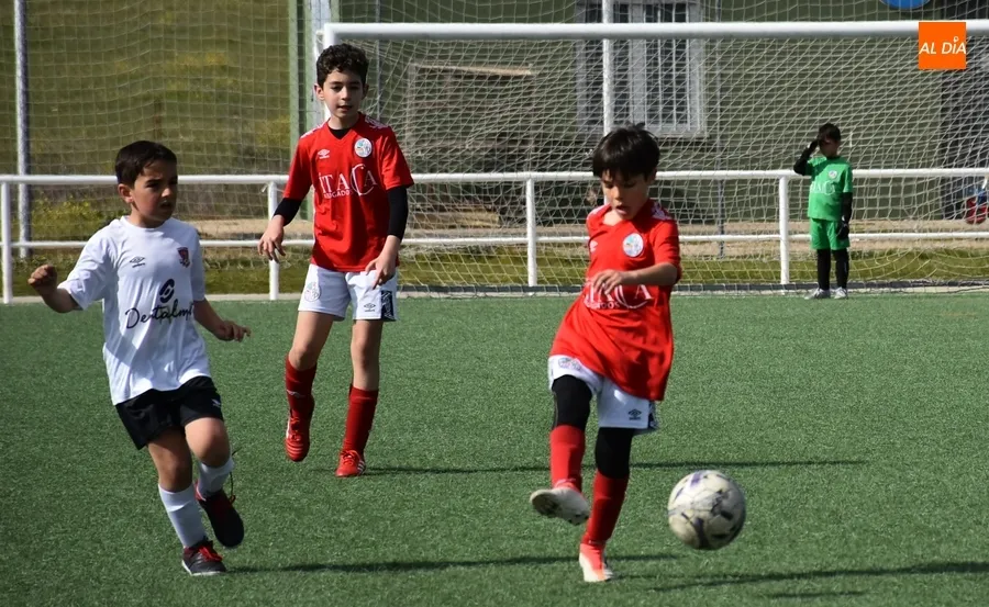 Foto 3 - El Benjam&iacute;n B del Ciudad Rodrigo deja en 18 partidos su espectacular racha sin hincar la rodilla