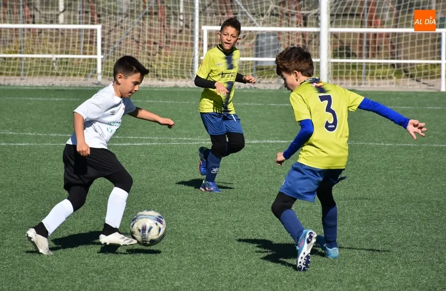 Foto 6 - El Benjam&iacute;n A del Ciudad Rodrigo se coloca l&iacute;der provisional tras asegurar el ascenso la semana pasada