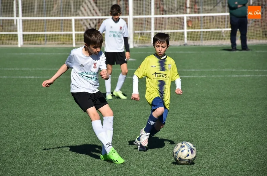 Foto 8 - El Benjam&iacute;n A del Ciudad Rodrigo se coloca l&iacute;der provisional tras asegurar el ascenso la semana pasada