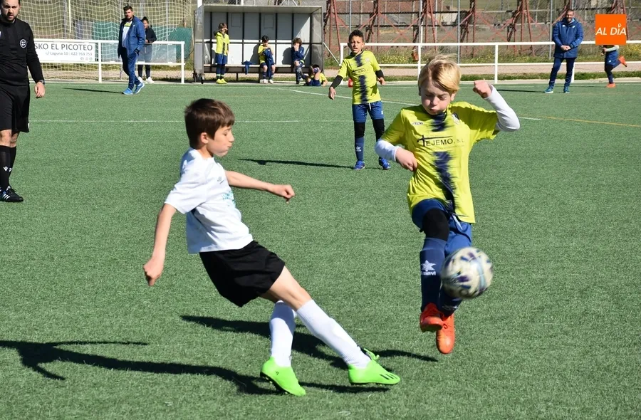 Foto 11 - El Benjam&iacute;n A del Ciudad Rodrigo se coloca l&iacute;der provisional tras asegurar el ascenso la semana pasada
