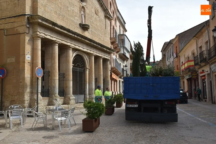 Foto 5 - Retornan tras el Carnaval los ca&ntilde;ones de la Plaza y m&uacute;ltiples jardineras