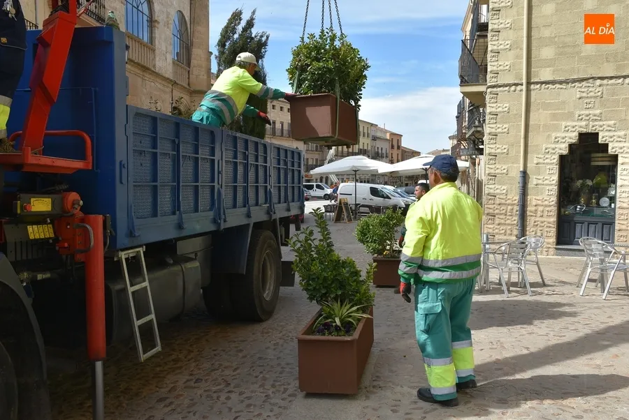 Foto 3 - Retornan tras el Carnaval los ca&ntilde;ones de la Plaza y m&uacute;ltiples jardineras