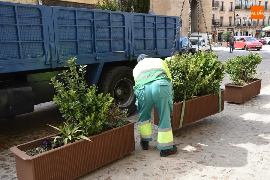 Foto 2 - Retornan tras el Carnaval los ca&ntilde;ones de la Plaza y m&uacute;ltiples jardineras