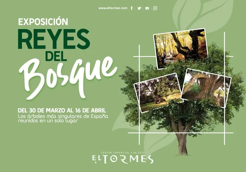Foto 4 - Ya puedes ver &lsquo;Los Reyes del Bosque&rsquo;