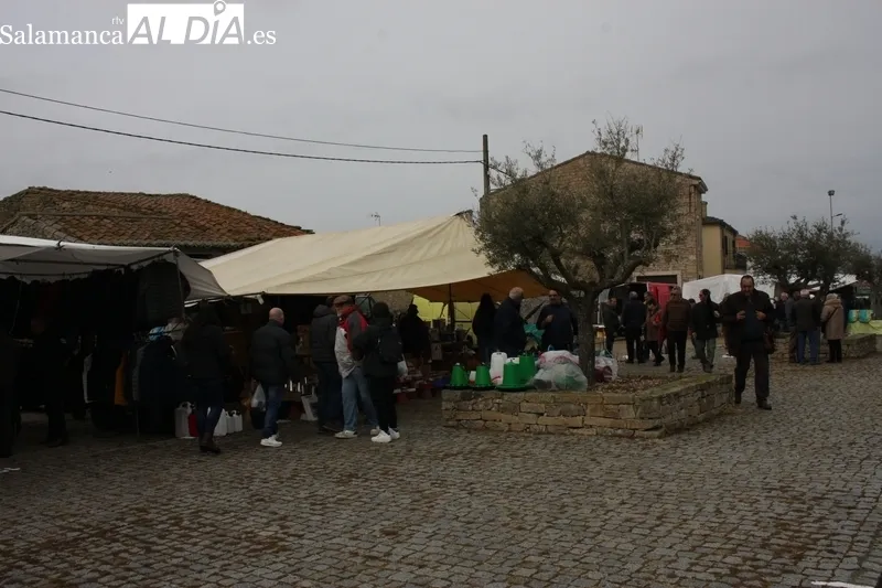 Poco público este domingo en el mercadillo de Trabanca debido a la lluvia y a la coincidencia de la Fiesta del Almendro en La Fregeneda  / SILVESTRE