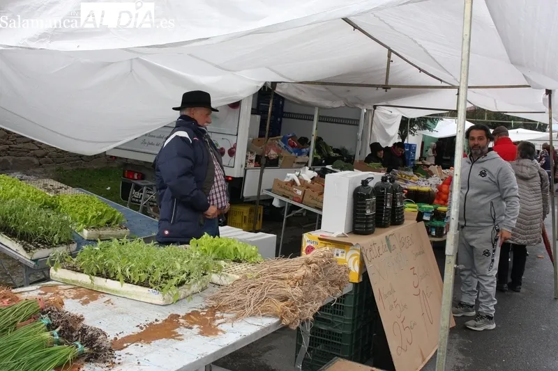 Poco público este domingo en el mercadillo de Trabanca debido a la lluvia y a la coincidencia de la Fiesta del Almendro en La Fregeneda  / SILVESTRE