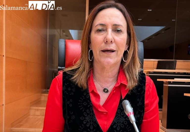 La procuradora socialista Rosa Rubio en el momento de defender un Plan integral de ayuda al comercio de Vitigudino 