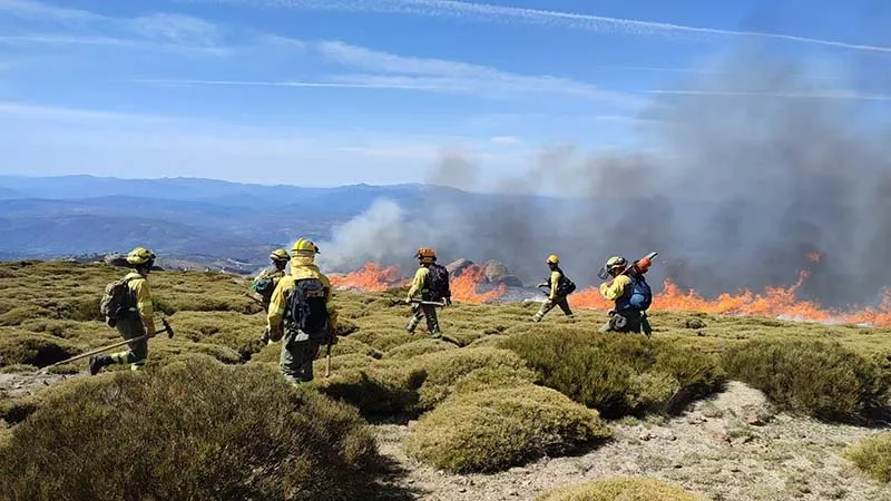 Foto 4 - Incendio de Candelario: Se acerca la noche con el fuego todav&iacute;a activo