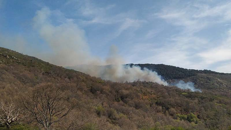 Extinguido el incendio forestal de Puerto de Béjar