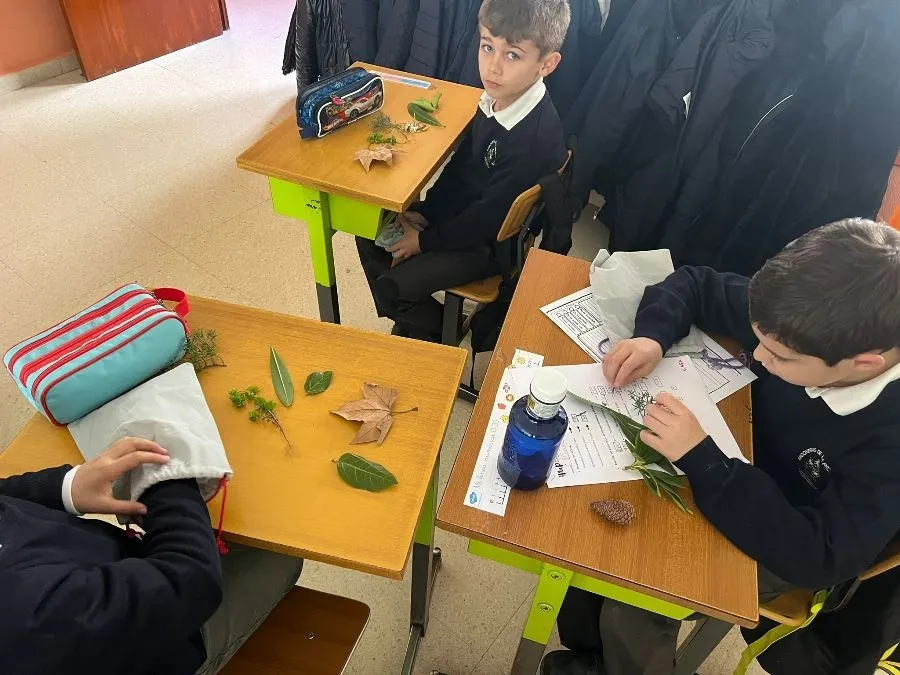 Foto 8 - Alumnos de Misioneras crean su propio herbolario