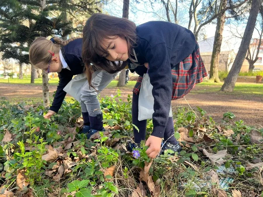 Foto 4 - Alumnos de Misioneras crean su propio herbolario