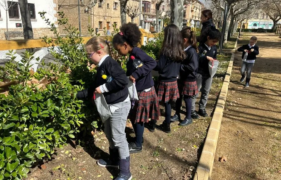 Foto 3 - Alumnos de Misioneras crean su propio herbolario