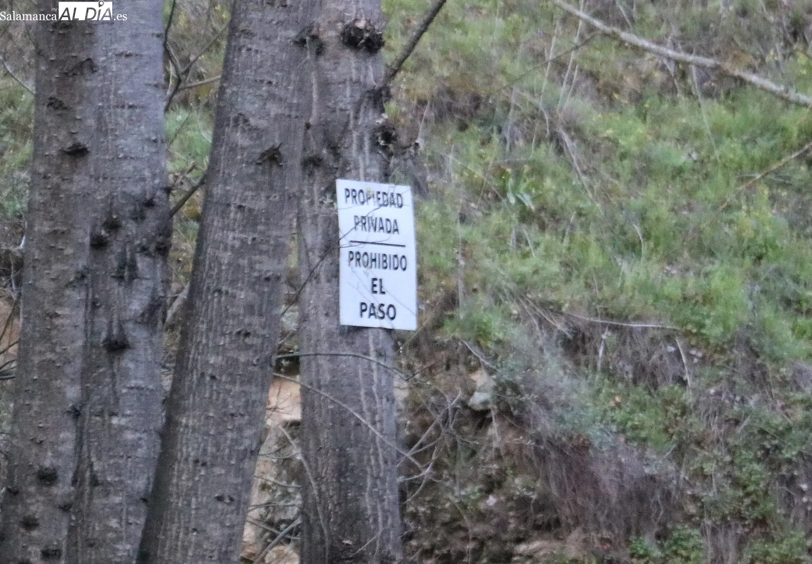 Obstruido con árboles y tierra el paso inundable sobre el Tormes en la zona zamorana de Ambasaguas / CORRAL