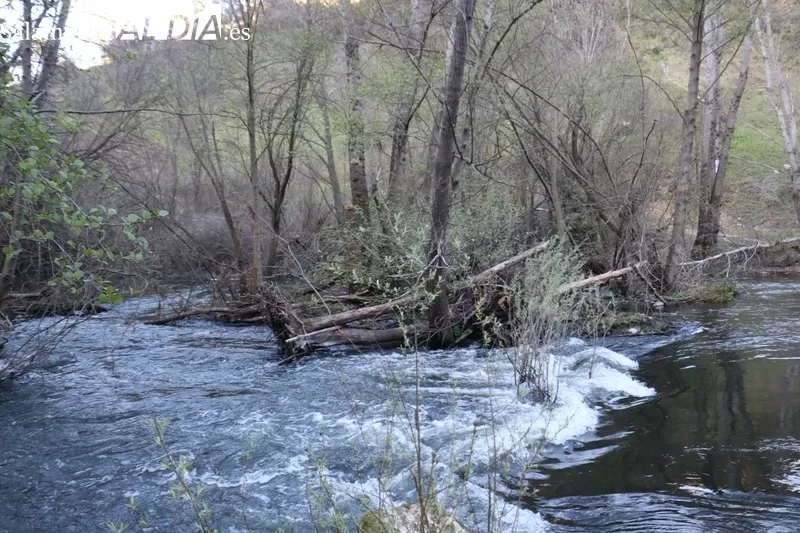 Obstruido con árboles y tierra el paso inundable sobre el Tormes en la zona zamorana de Ambasaguas / CORRAL