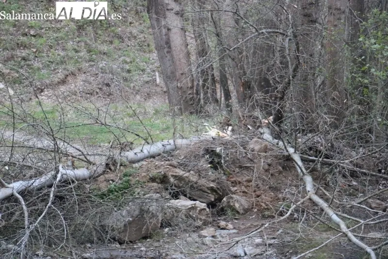 Obstruido con árboles y tierra el paso inundable sobre el Tormes en la zona zamorana de Ambasaguas / CORRAL