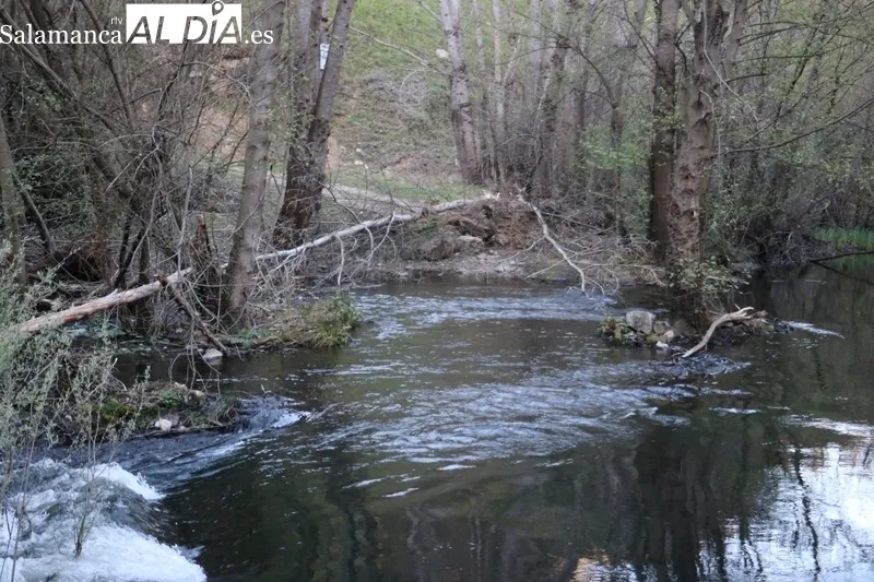 Obstruido con árboles y tierra el paso inundable sobre el Tormes en la zona zamorana de Ambasaguas / CORRAL