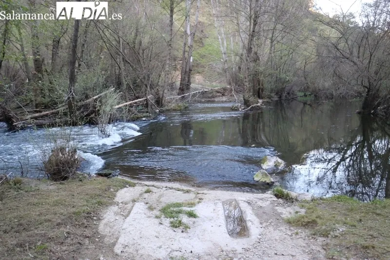 Obstruido con árboles y tierra el paso inundable sobre el Tormes en la zona zamorana de Ambasaguas / CORRAL