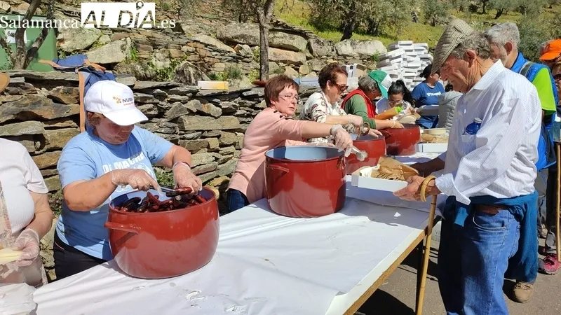 Éxito de participación y organización en la XXVII Marcha Arribes del Duero en Vilvestre