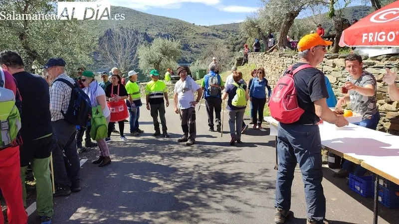 Éxito de participación y organización en la XXVII Marcha Arribes del Duero en Vilvestre