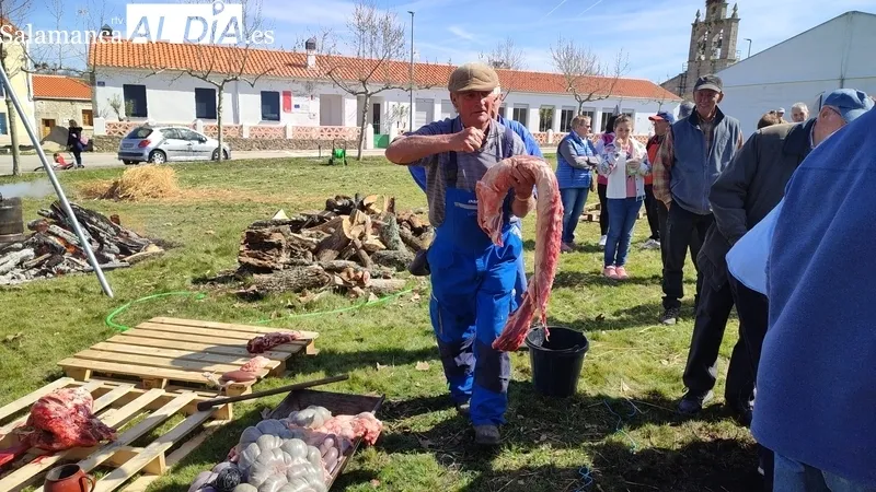 Fiesta de la Matanza Tradicional en Cerezal de Peñahorcada / CORRAL