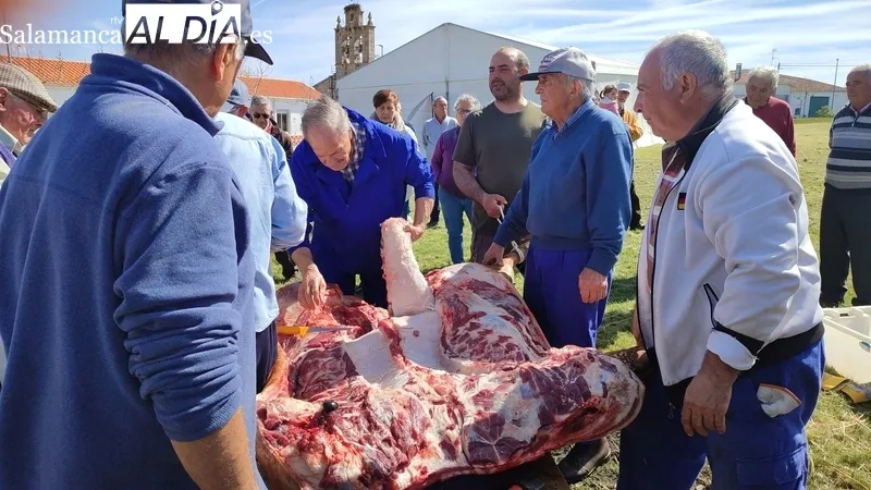 Fiesta de la Matanza Tradicional en Cerezal de Peñahorcada / CORRAL