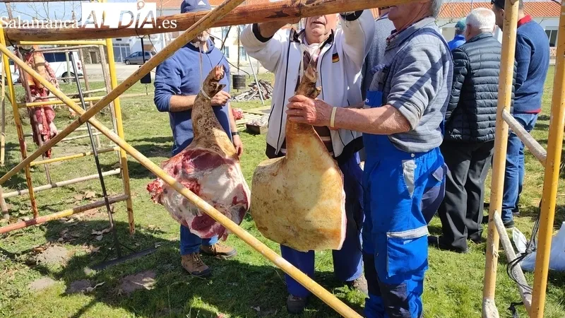 Fiesta de la Matanza Tradicional en Cerezal de Peñahorcada / CORRAL