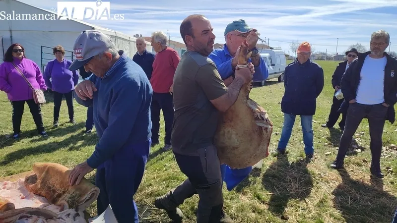 Fiesta de la Matanza Tradicional en Cerezal de Peñahorcada / CORRAL