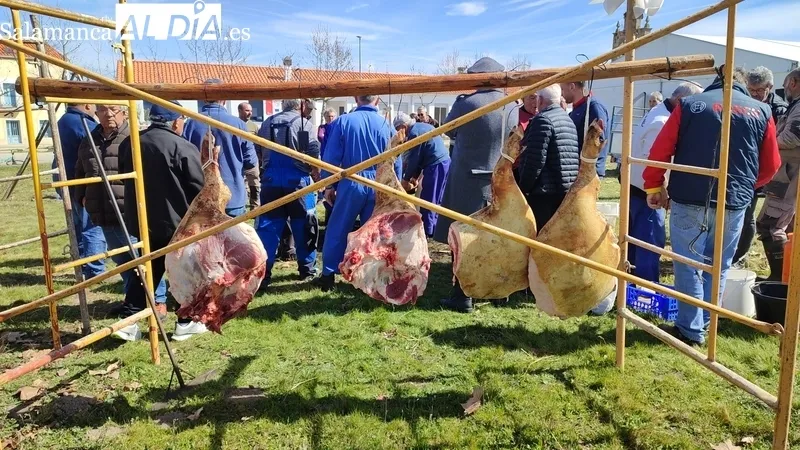 Fiesta de la Matanza Tradicional en Cerezal de Peñahorcada / CORRAL
